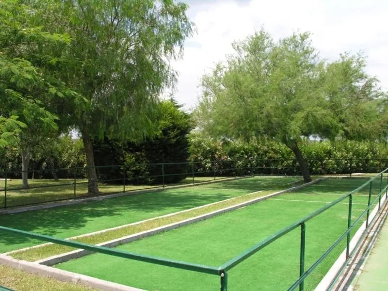Campo da bocce in erba sintetica circondato da alberi