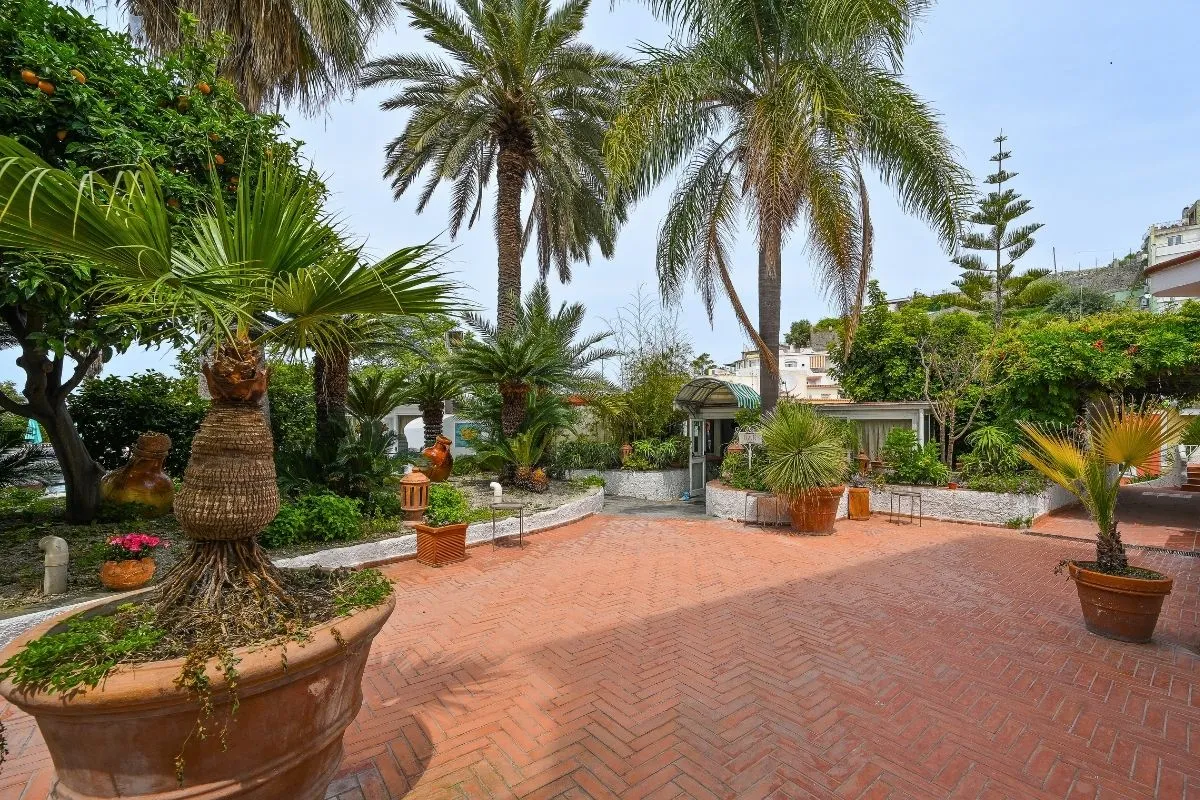 Giardino mediterraneo con palme, piante in vaso e pavimentazione in cotto