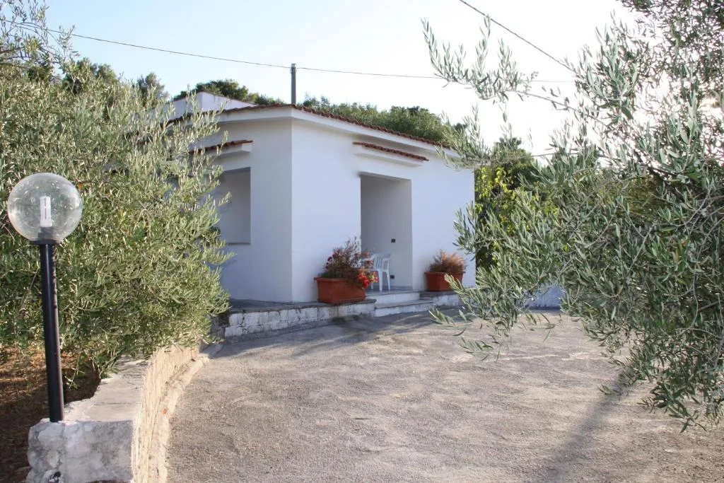 Esterno di villetta bianca con ingresso, piante in vaso e ulivi