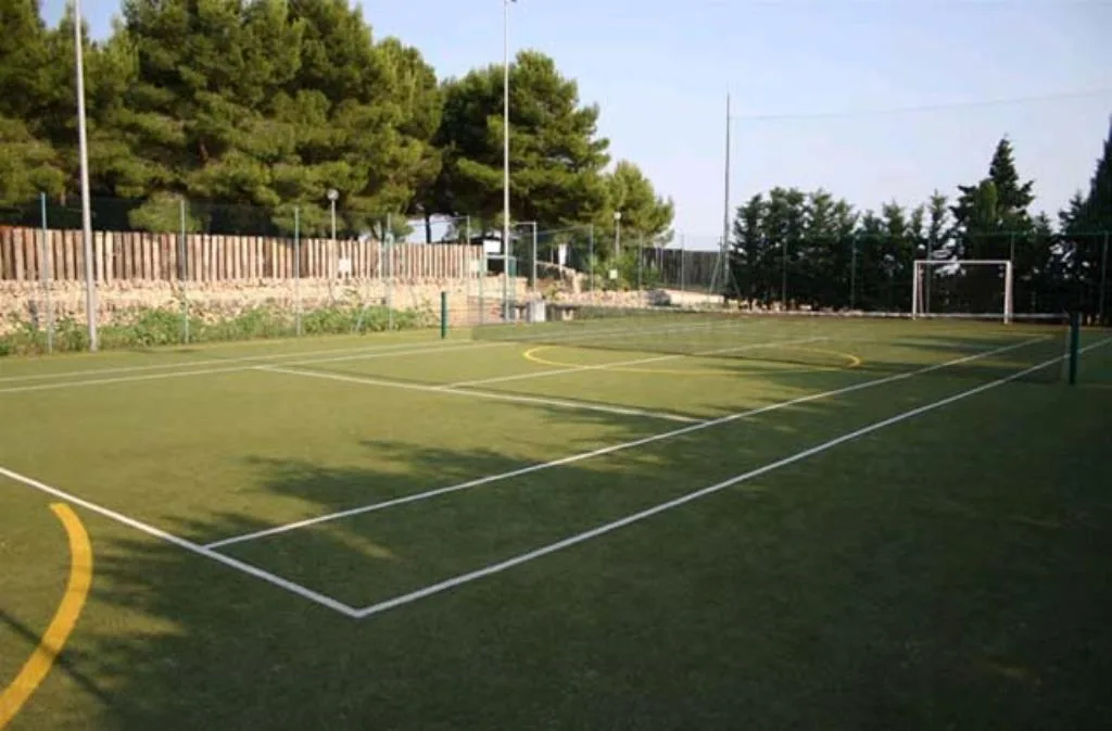 Campo sportivo in erba sintetica con porte da calcio circondato da pini