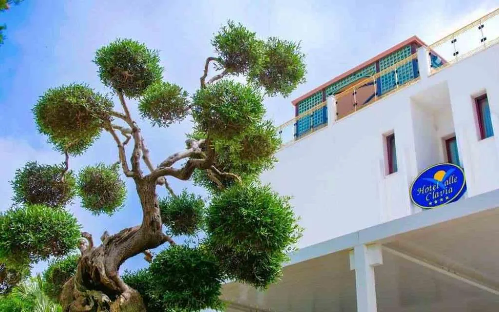 Esterno dell'Hotel alle Clavia con albero d'ulivo ornamentale e facciata bianca