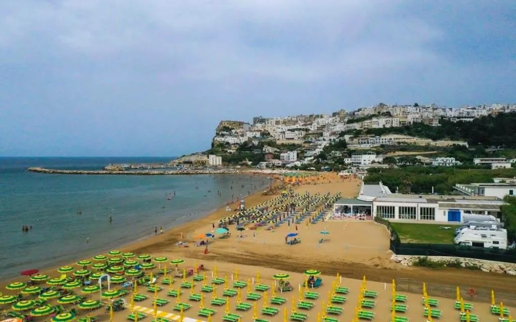 Veduta aerea di ampia spiaggia sabbiosa con ombrelloni verdi e borgo sullo sfondo
