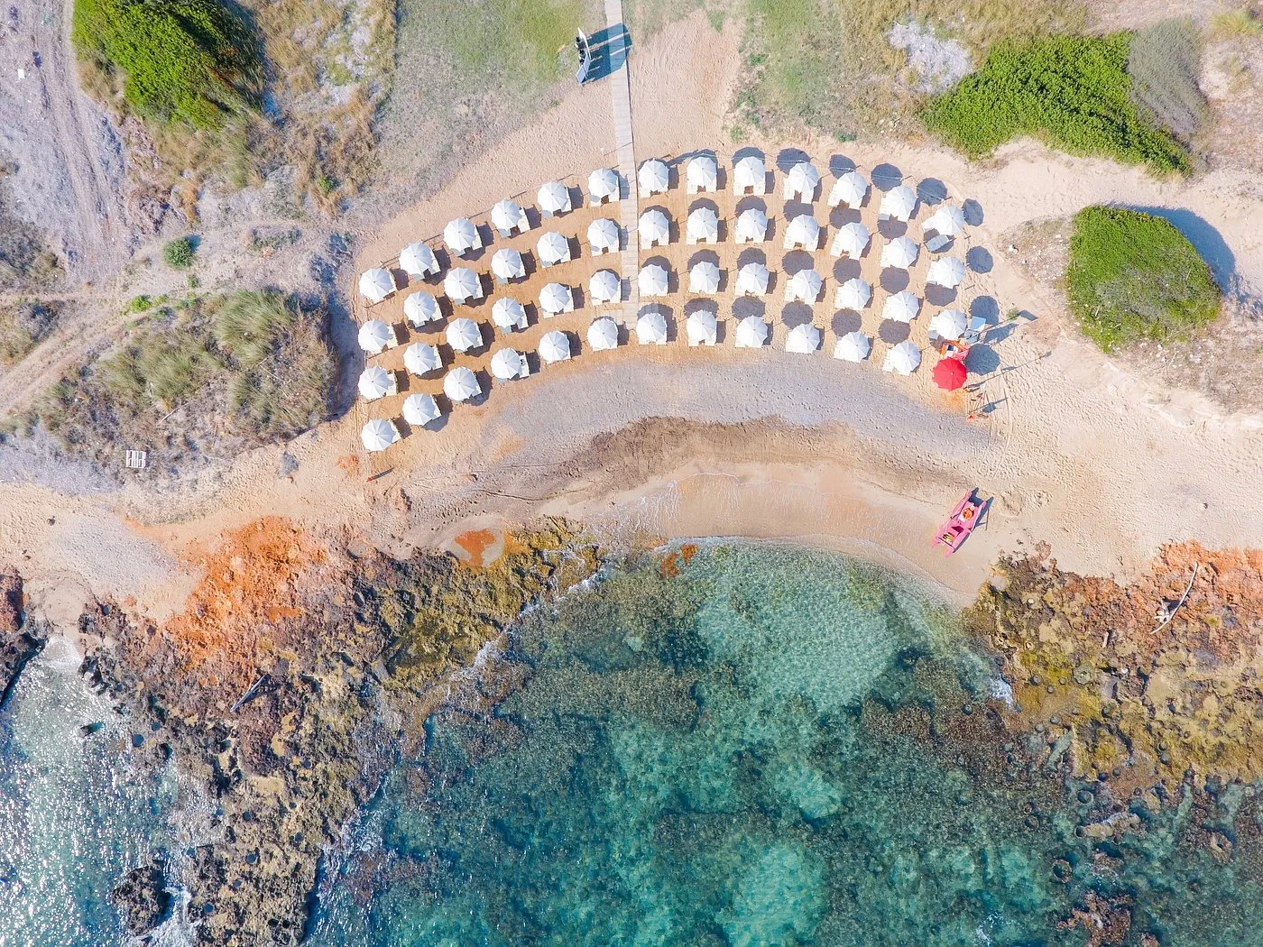 Vista aerea della spiaggia con file di ombrelloni bianchi e mare limpido