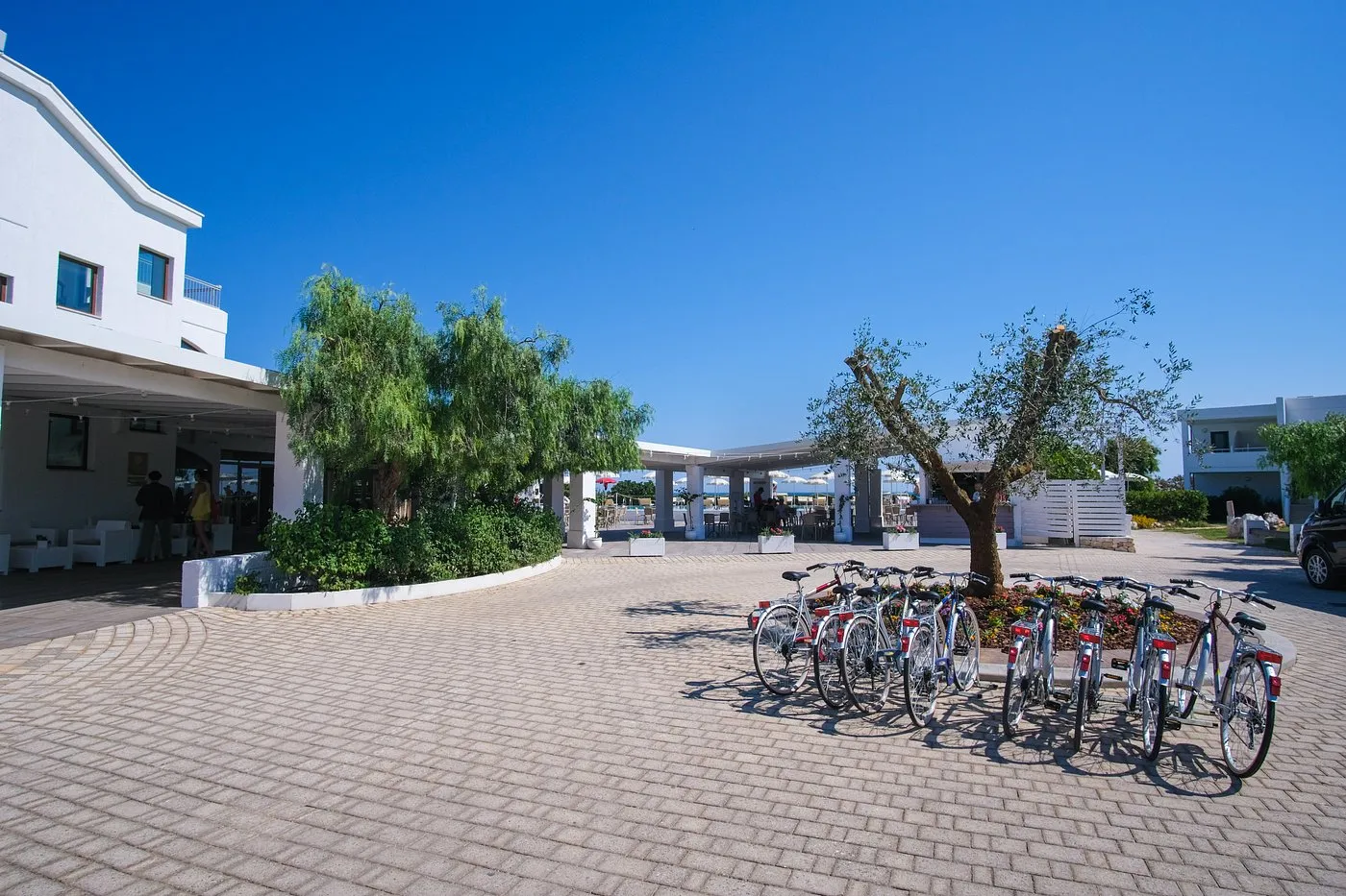 Ingresso del resort con biciclette a noleggio, alberi e area lounge esterna