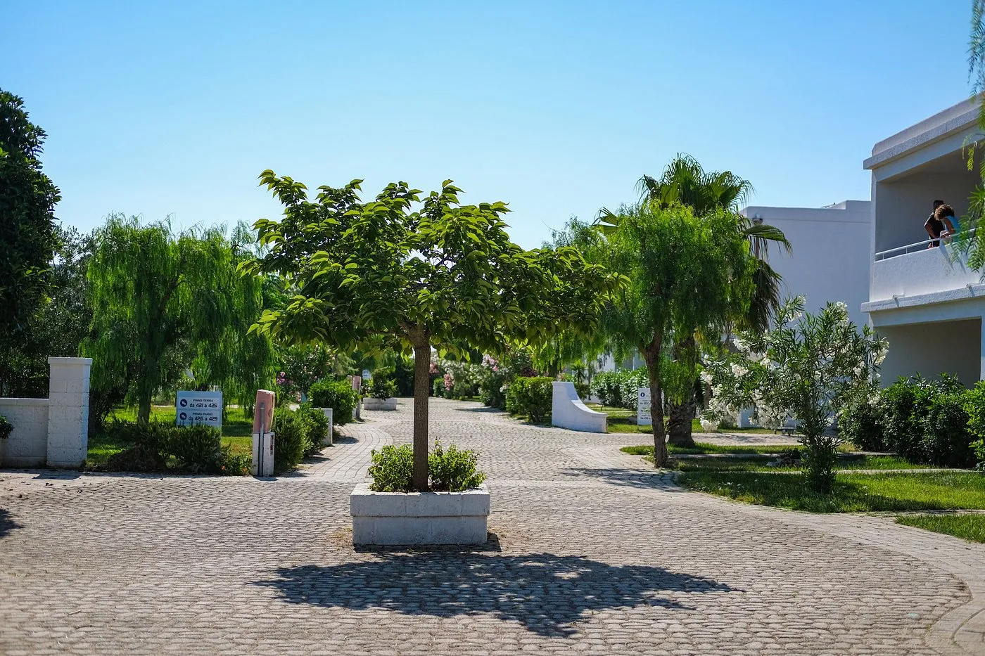Viale pedonale con alberi, siepi e ville bianche del resort