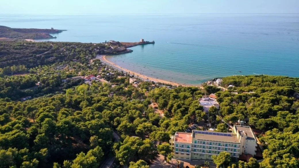 Vista aerea dell'hotel immerso nella pineta con spiaggia e mare turchese sullo sfondo