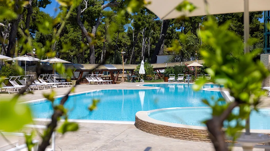 Piscina esterna circondata da lettini e pineta in una giornata di sole