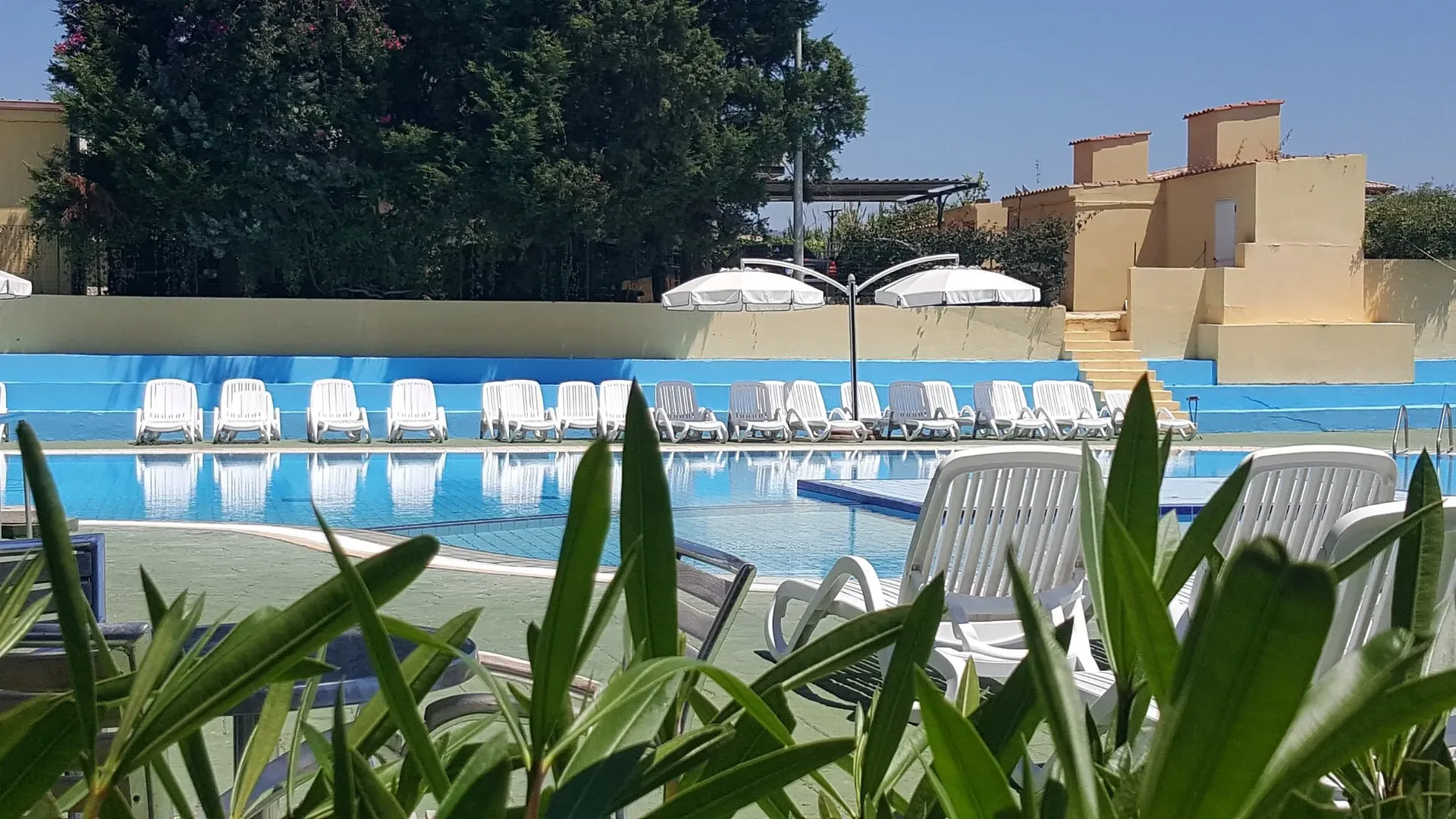 Piscina con lettini bianchi vista tra piante verdi e casetta bazar