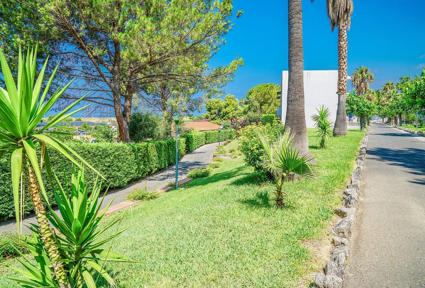 Vialetto del giardino del resort con palme, siepi e prato verde curato