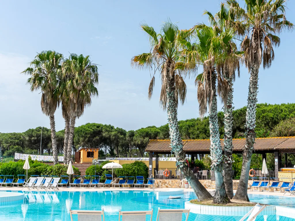 Piscina con palme e lettini blu circondata dalla pineta