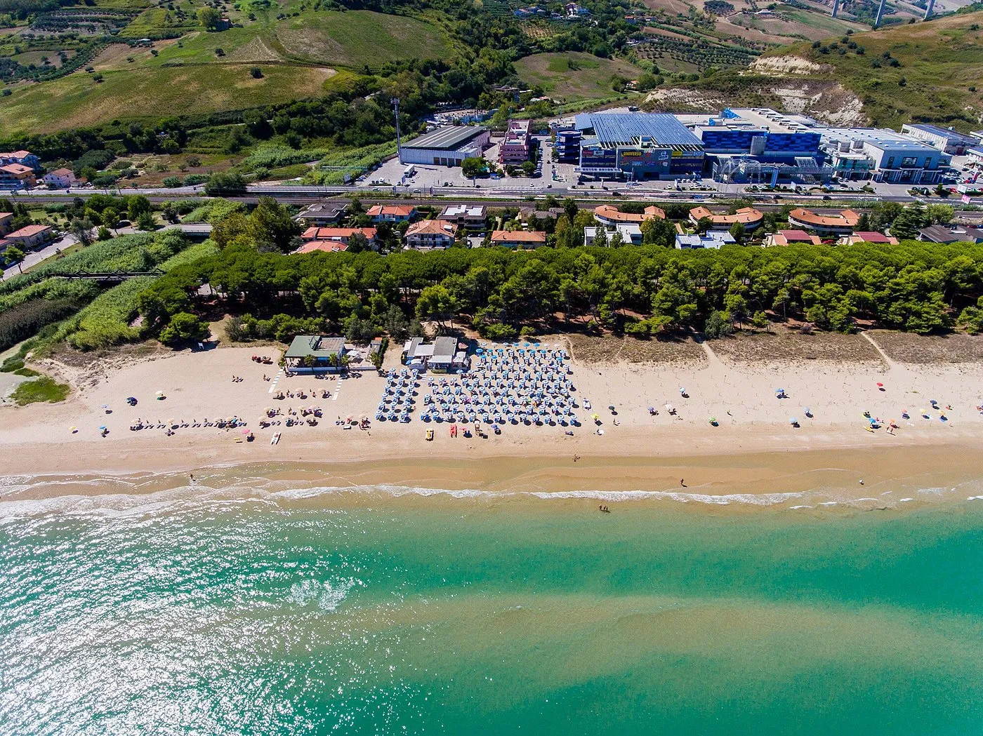 Veduta aerea della spiaggia con ombrelloni blu ordinati, pineta e mare cristallino