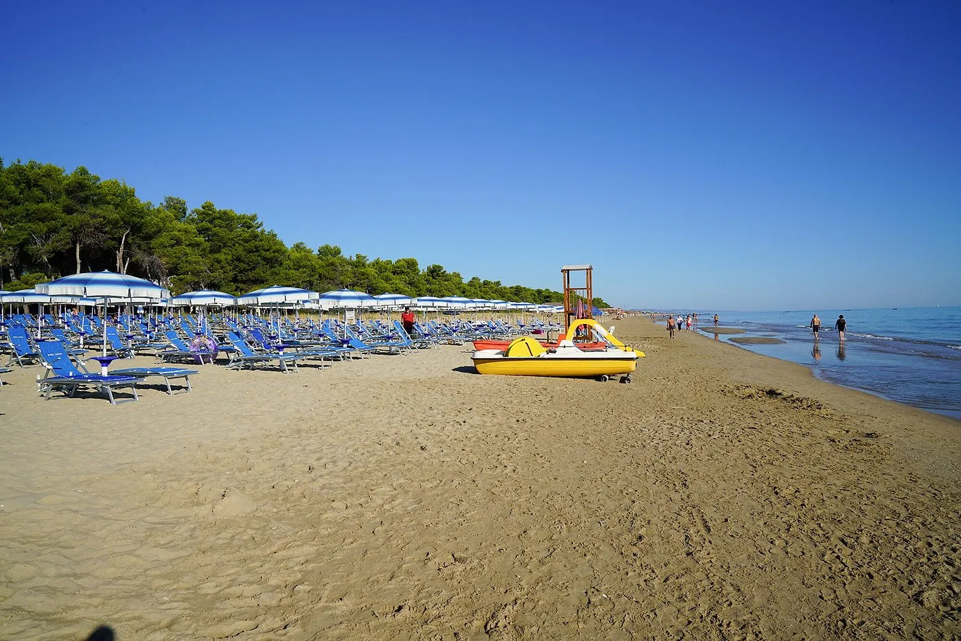 Spiaggia con lettini e ombrelloni blu, pattino da salvataggio giallo e pineta sullo sfondo