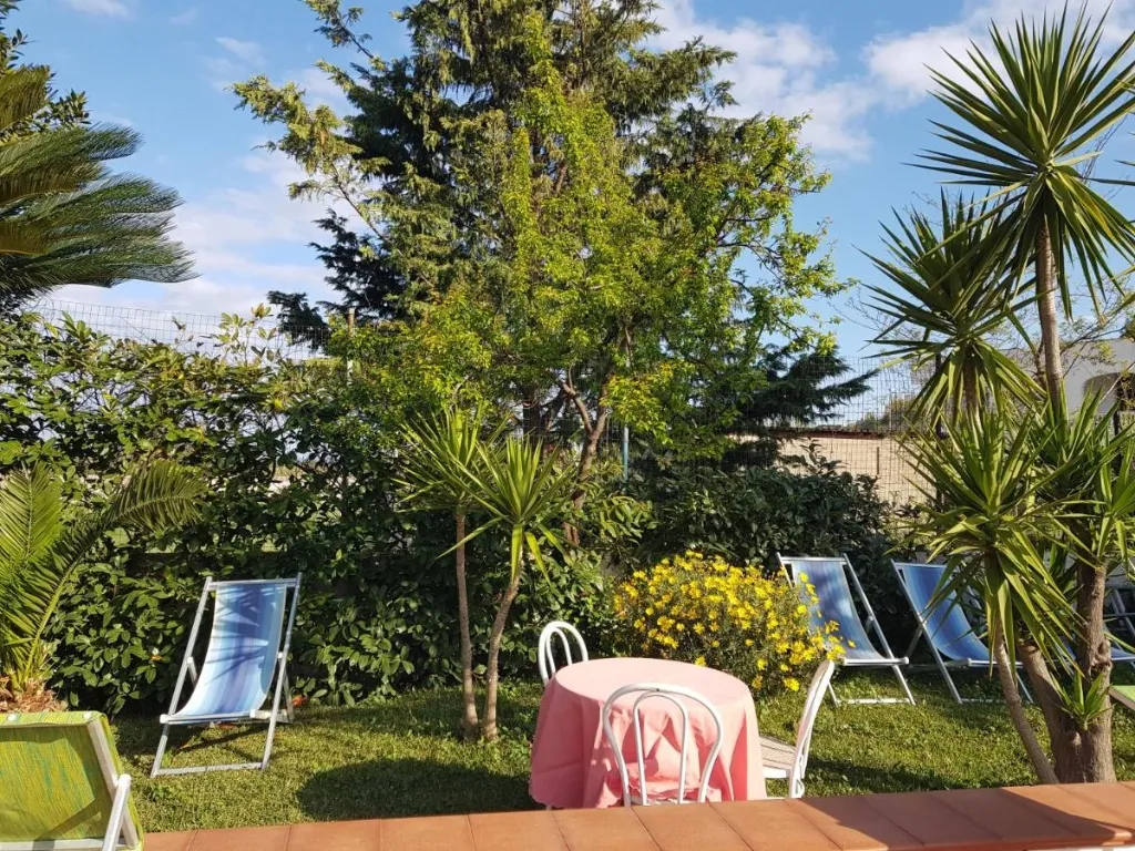 Giardino verde con lettini blu, tavolino con tovaglia rosa e piante tropicali