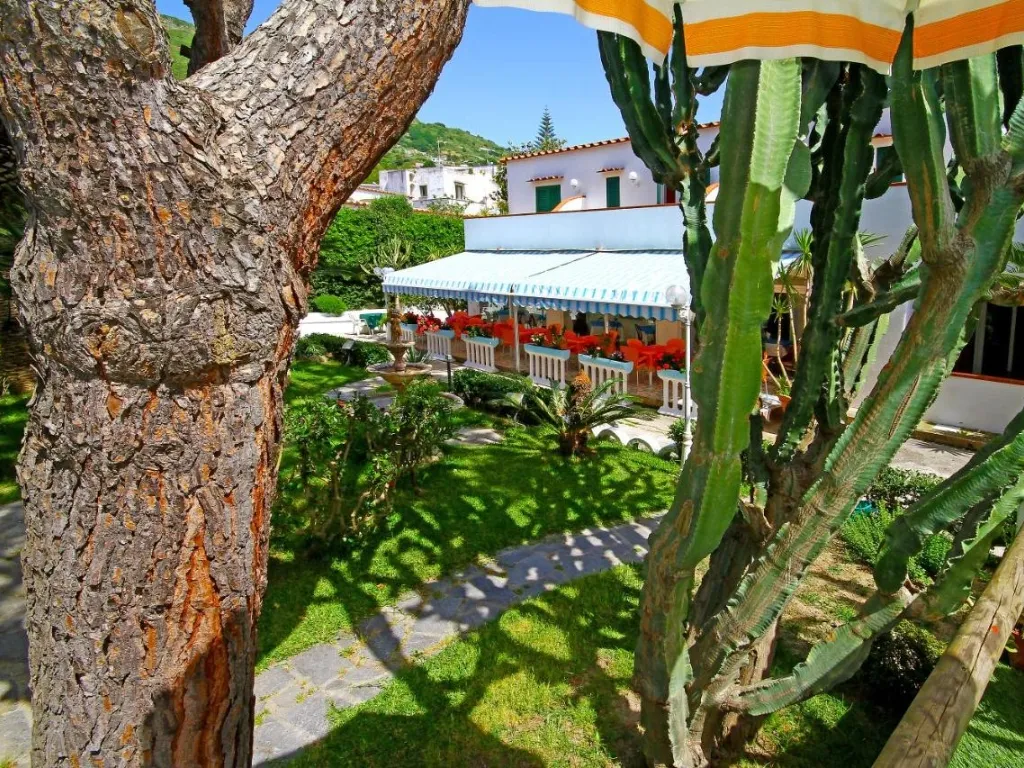 Giardino con alberi, cactus e vista sulla terrazza ristorante dell'hotel
