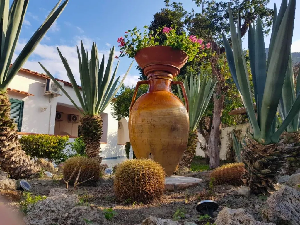 Giardino con grande anfora decorativa in terracotta con fiori, cactus e piante di agave