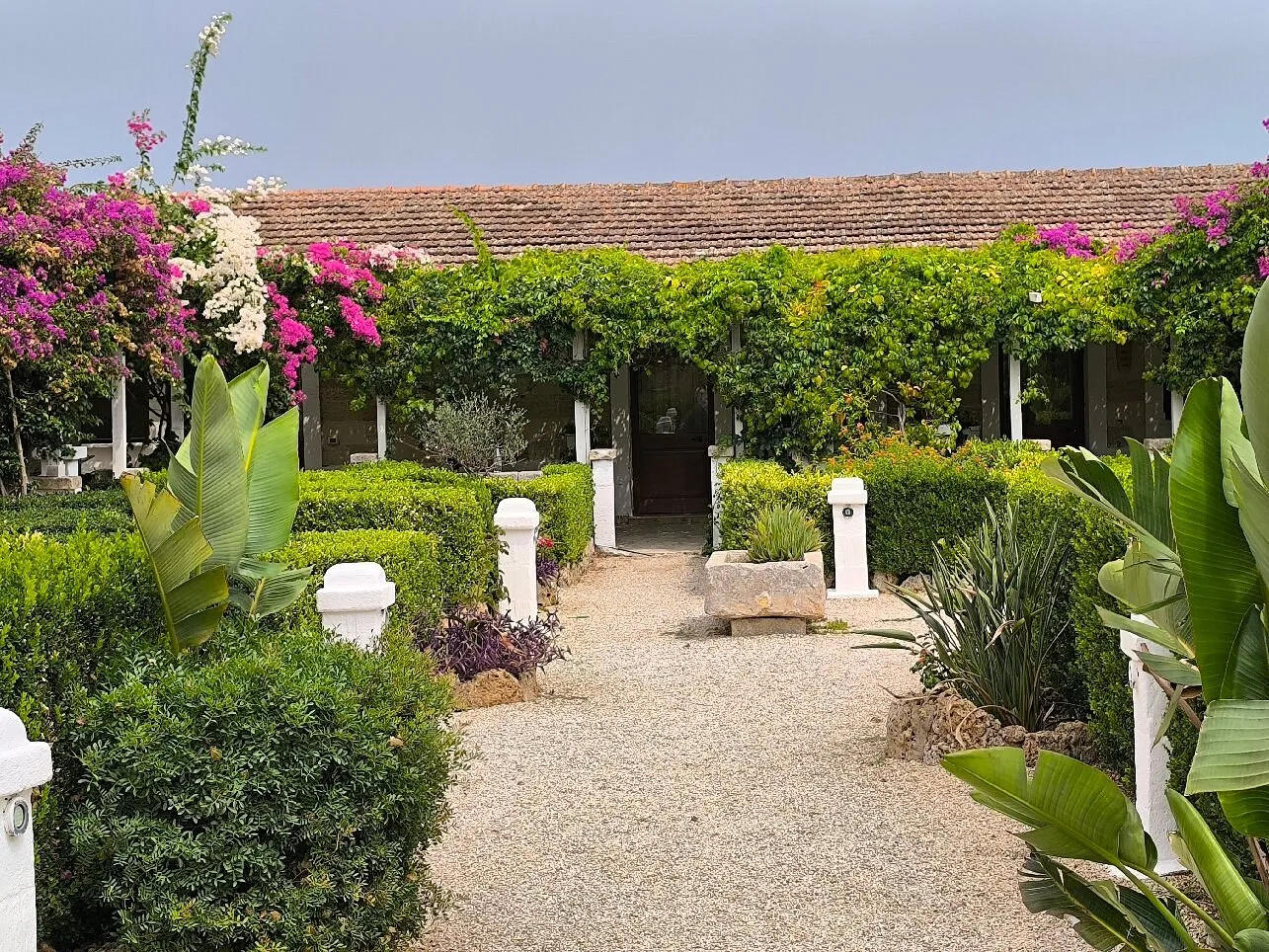 Cortile interno con bougainville fiorite e vialetto in ghiaia