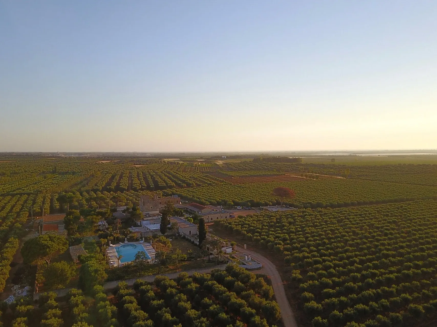 Veduta aerea della masseria con piscina immersa negli uliveti