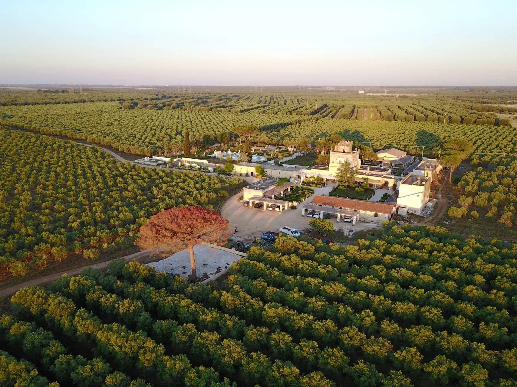 Vista aerea della tenuta con edifici storici circondati da pinete