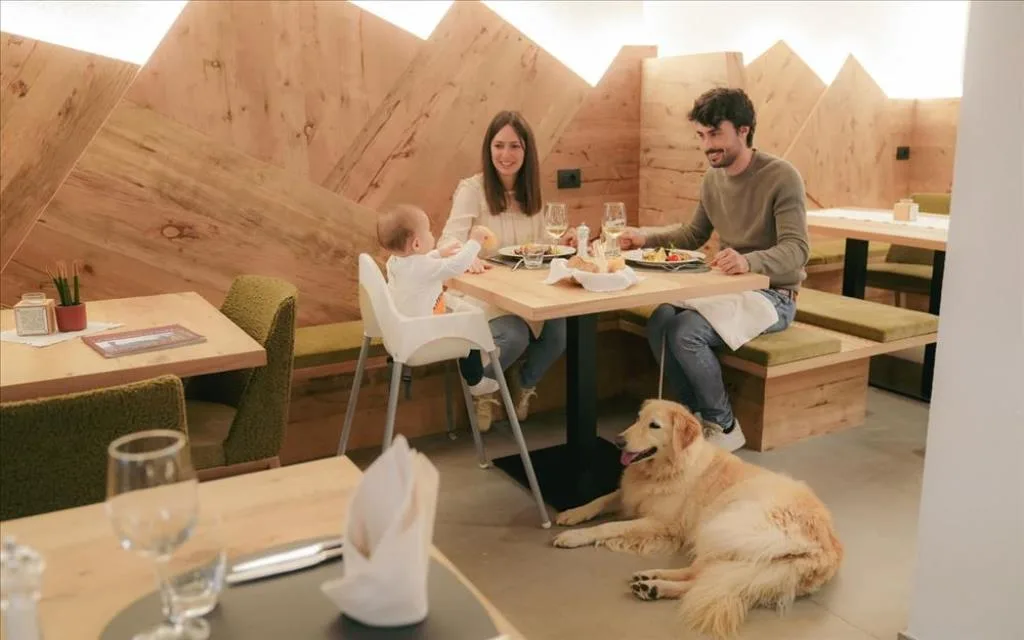 pet hotel