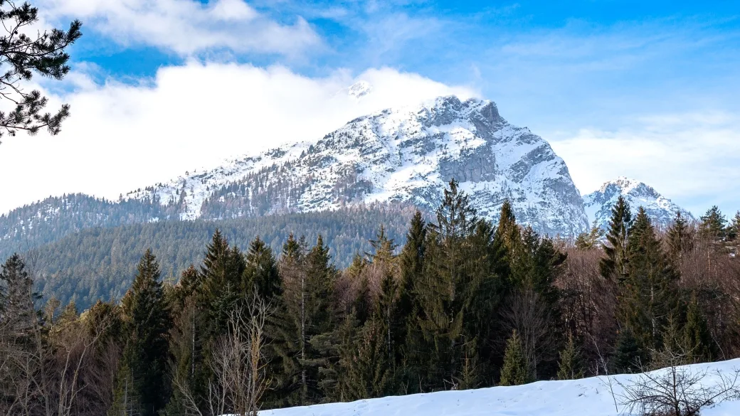 Paesaggio invernale con vetta dolomitica innevata e bosco di abeti